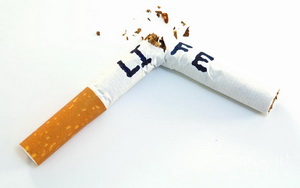«Жить или курить? Выбирать вам!»